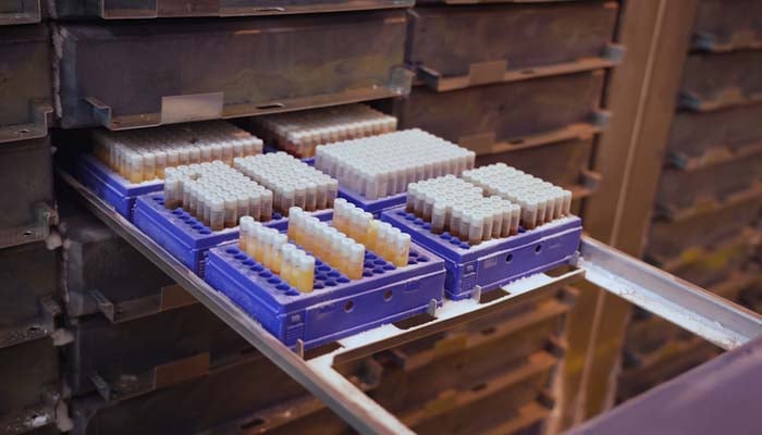 UK Biobank data of 500,000 people listed for sale on Chinese site