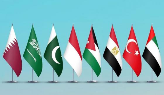 پاکستان سمیت 8 مسلم ممالک کا مسجد اقصیٰ میں اسرائیلی آبادکاروں کی دراندازی پر اظہار تشویش