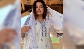 30سالہ بھارتی اداکارہ دیویانکا سیروہی اچانک چل بسیں