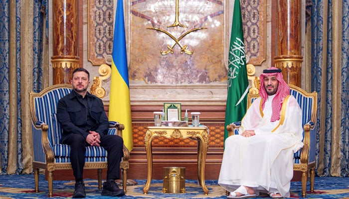 یوکرینی صدر نے سعودی ولی عہد سے ملاقات کو انتہائی نتیجہ خیز قرار دیدیا