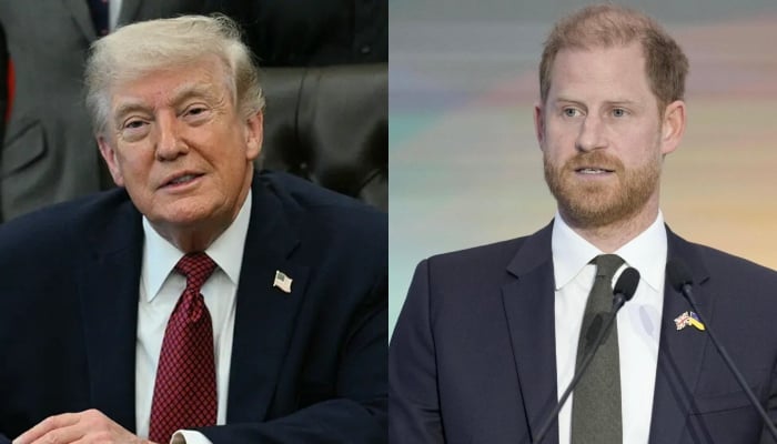 Trump reacts to Prince Harrys shocking comment on US leadership in powerful speech