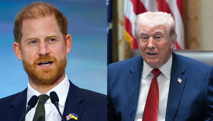 Prince Harry sparks Trumps outrage with shocking remarks ahead of King Charles US visit