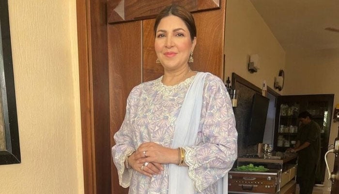 شگفتہ اعجاز — فائل فوٹو