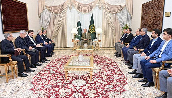 فوٹو: پی آئی ڈی