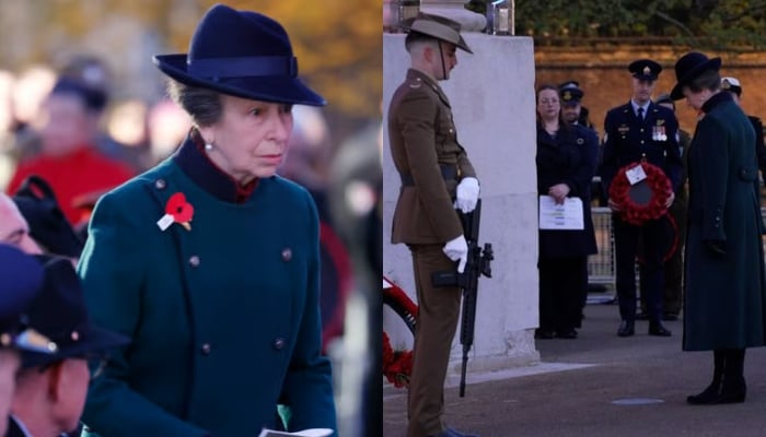 Princess Anne kicks off 2026 Anzac Day dawn service at Hyde Park