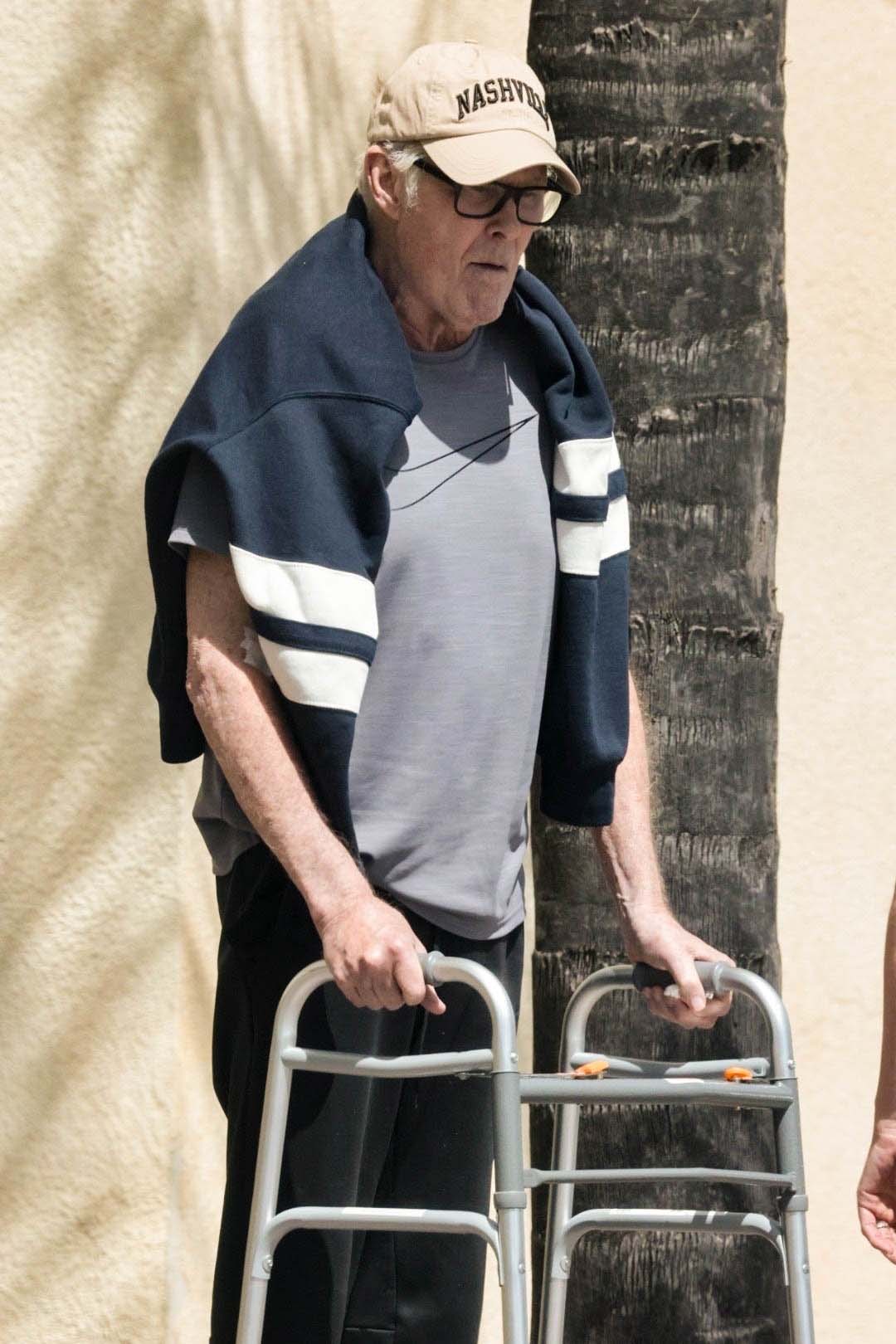 David Hasselhoff spotted using walker during rare outing with wife