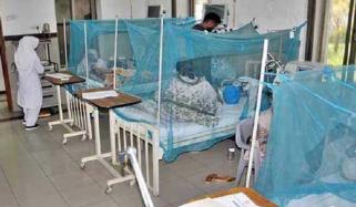 سندھ: رواں سال ابتک ڈینگی کے 220 کیسز رپورٹ