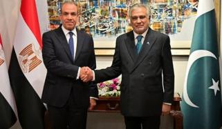 پاک مصر وزرائے خارجہ میں رابطہ، امریکا ایران سفارتکاری پر مشاورت