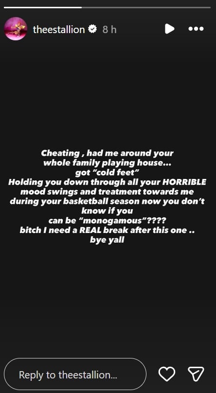 picture credit: Megan Thee Stallion/ Instagram