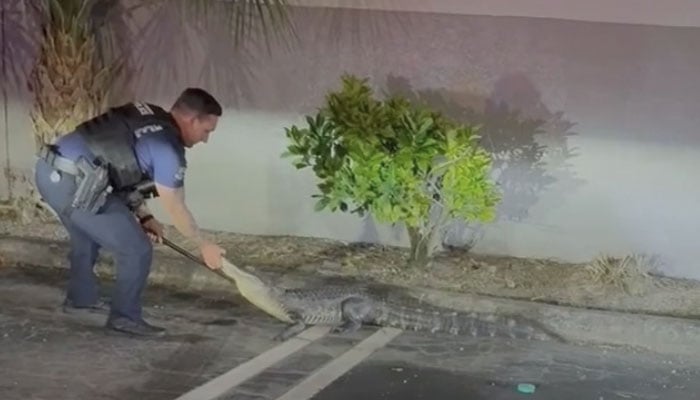 ---اسکرین گریب