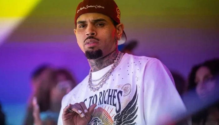 Chris Brown mocks haters bashing his and Usher tour: ‘These fake woke...’