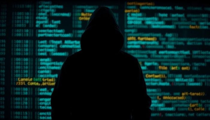 The hacktivist group 313 Team claimed they were behind attack