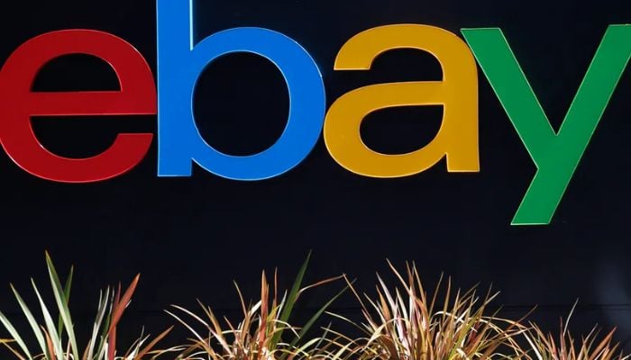 Is eBay Down Right Now? Global outage reported as 313 Team claims DDoS attack