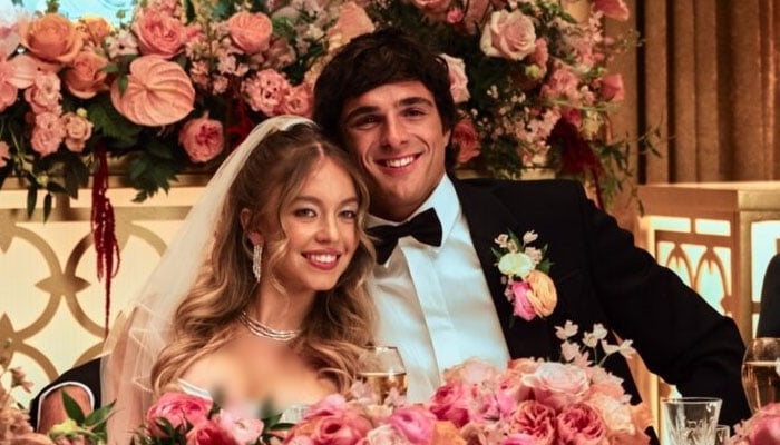 ‘Euphoria’ Season 3: Cassie and Nate’s wedding disaster finally explained