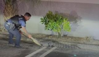 امریکا: پولیس اہلکاروں کی مگر مچھ سے چھیڑ چھاڑ، ویڈیو وائرل