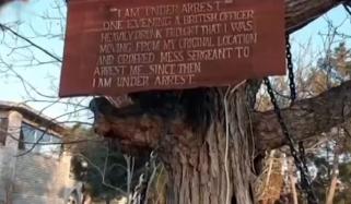 لنڈی کوتل میں انگریز دور سے گرفتار درخت رہائی کا منتظر