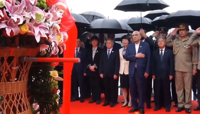 ---اسکرین گریب بشکریہ سوشل میڈیا