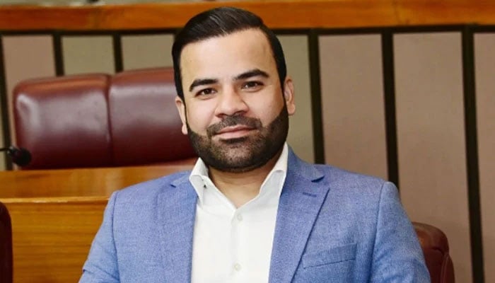 بیرسٹر عقیل ملک(فائل فوٹو)۔