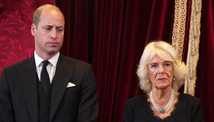 Prince Williams advice to King Charles swept under the rug by furious Queen Camilla