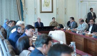 اقتصادی ترقی کیلئے سرمایہ کاری کا فروغ اولین ترجیح ہے، شہباز شریف