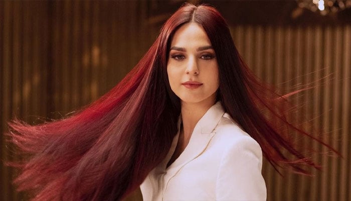 مہر النساء اقبال— فائل فوٹو