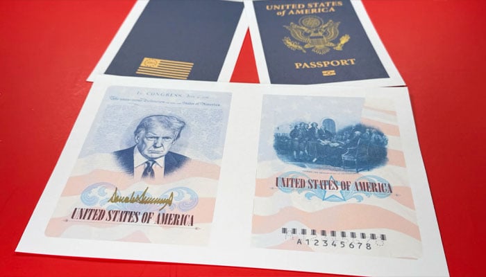 — تصویر بشکریہ غیر ملکی میڈیا