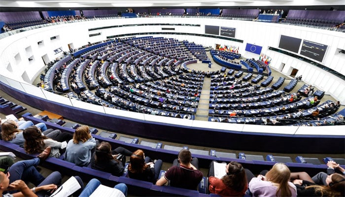 یورپین پارلیمنٹ نے مرد و خواتین کے درمیان تعلق کی واضح تعریف طے کر دی