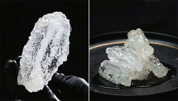 چینی فوڈ بلاگر نے شیشے کے مجسموں جیسا شفاف فرائیڈ چکن تیار کرلیا