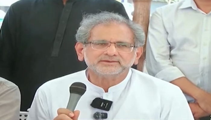 شاہد خاقان عباسی - فوٹو: اسکرین گریب