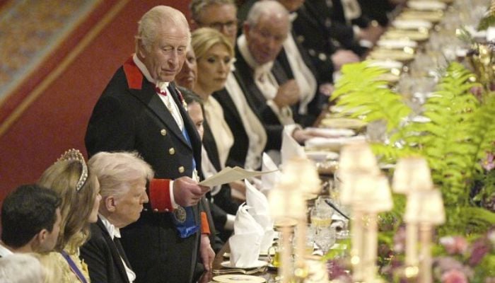 High-fashion diplomacy meets raw soft power in White House