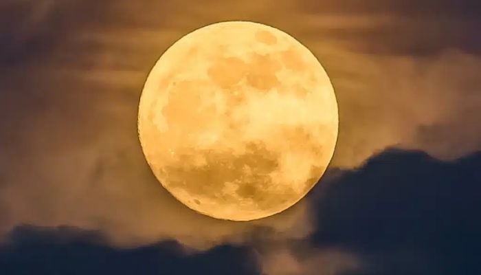 Flower Moon 2026: When and where to see the rare lunar event
