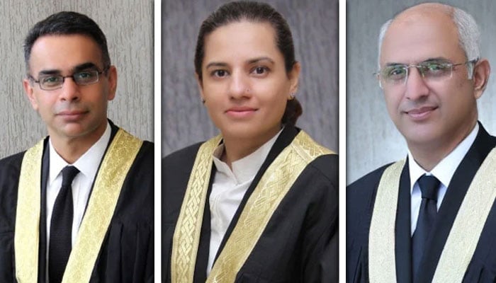 ---فائل فوٹوز