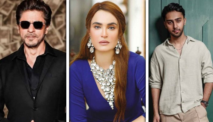 ---فائل فوٹوز