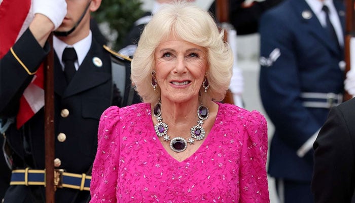 Queen Camillas special gift from Palace to NYC delights Americans: beyond charming