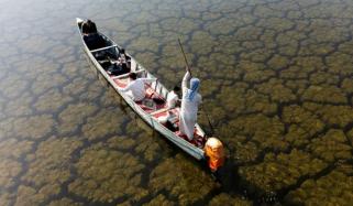 بارشوں سے عراق کے قدیم دلدلی علاقے دوبارہ زندہ: تصویری رپورٹ