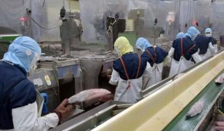 جاپان میں غیر ملکیوں پر سختی کے باوجود بنگلہ دیشی لیبرز کی تعداد میں اضافہ