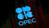 امارات کی اوپیک سے علیحدگی عالمی تشویش کا باعث کیوں؟