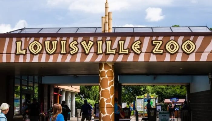 Louisville Zoo evacuated after bomb threat report: Heres what happened