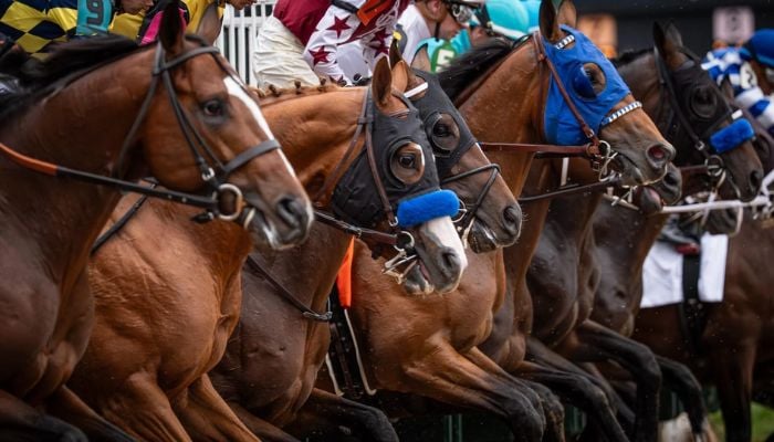 Renegade (4-1) targets the roses as the 152nd Derby favourite