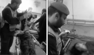 لاہور: مزنگ میں نوجوان نے خاتون اور اسکے 2 بچوں کو قتل کر کے خودکشی کرلی