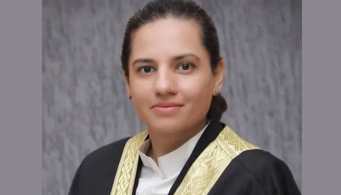 جسٹس ثمن رفعت امتیاز---فائل فوٹو