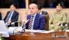 ہیپاٹائٹس و ایڈز کے خاتمے کیلئے مریضوں کی اسکریننگ یقینی بنائی جائے، وزیراعظم شہباز شریف