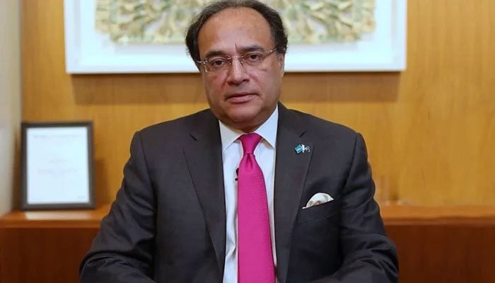 وزیرِ خزانہ محمد اورنگزیب— فائل فوٹو