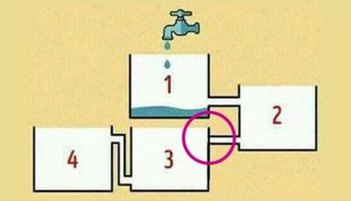 فوٹو بشکریہ سوشل میڈیا