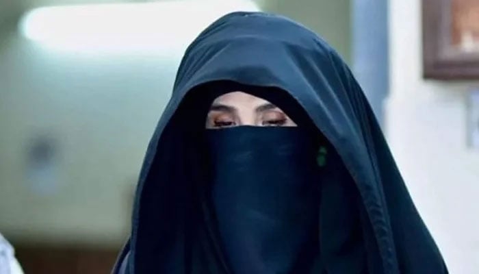 فائل فوٹو