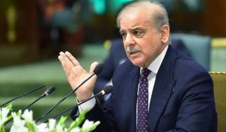 یقین ہے فیلڈ مارشل سید عاصم منیر کی کاوشیں خطے میں پائیدار امن کا باعث بنیں گی: وزیرِ اعظم 