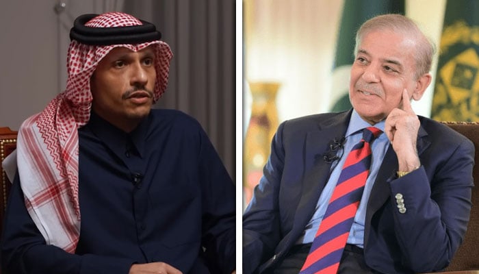 کولاج فوٹو: فائل
