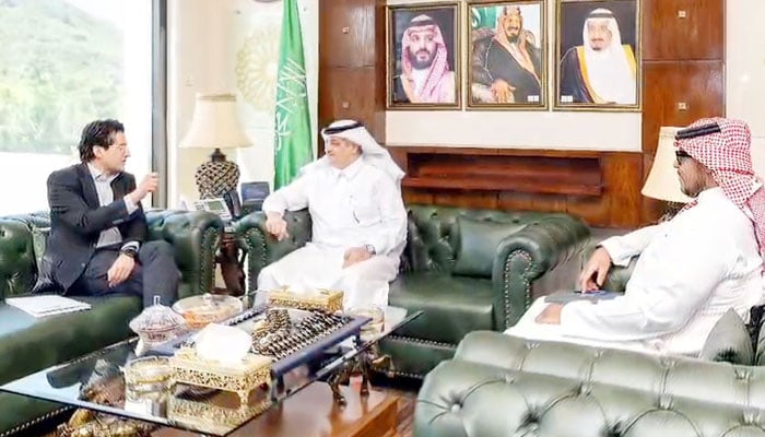 وزیر پیٹرولیم کی سعودی سفیر سے ملاقات، توانائی تعاون مزید مضبوط بنانے پر اتفاق