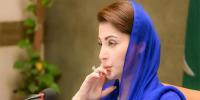 وزیر اعلیٰ پنجاب کا پیرا کے 4 ہزار اہلکاروں، افسران کی اسکروٹنی کا حکم 
