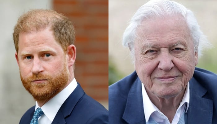 Prince Harry praises David Attenborough in emotional tribute before 100th birthday